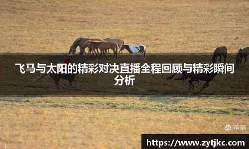 飞马与太阳的精彩对决直播全程回顾与精彩瞬间分析